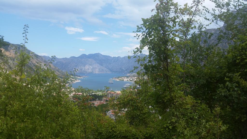 Apartments Panoramic Paradise Kotor Buitenkant foto
